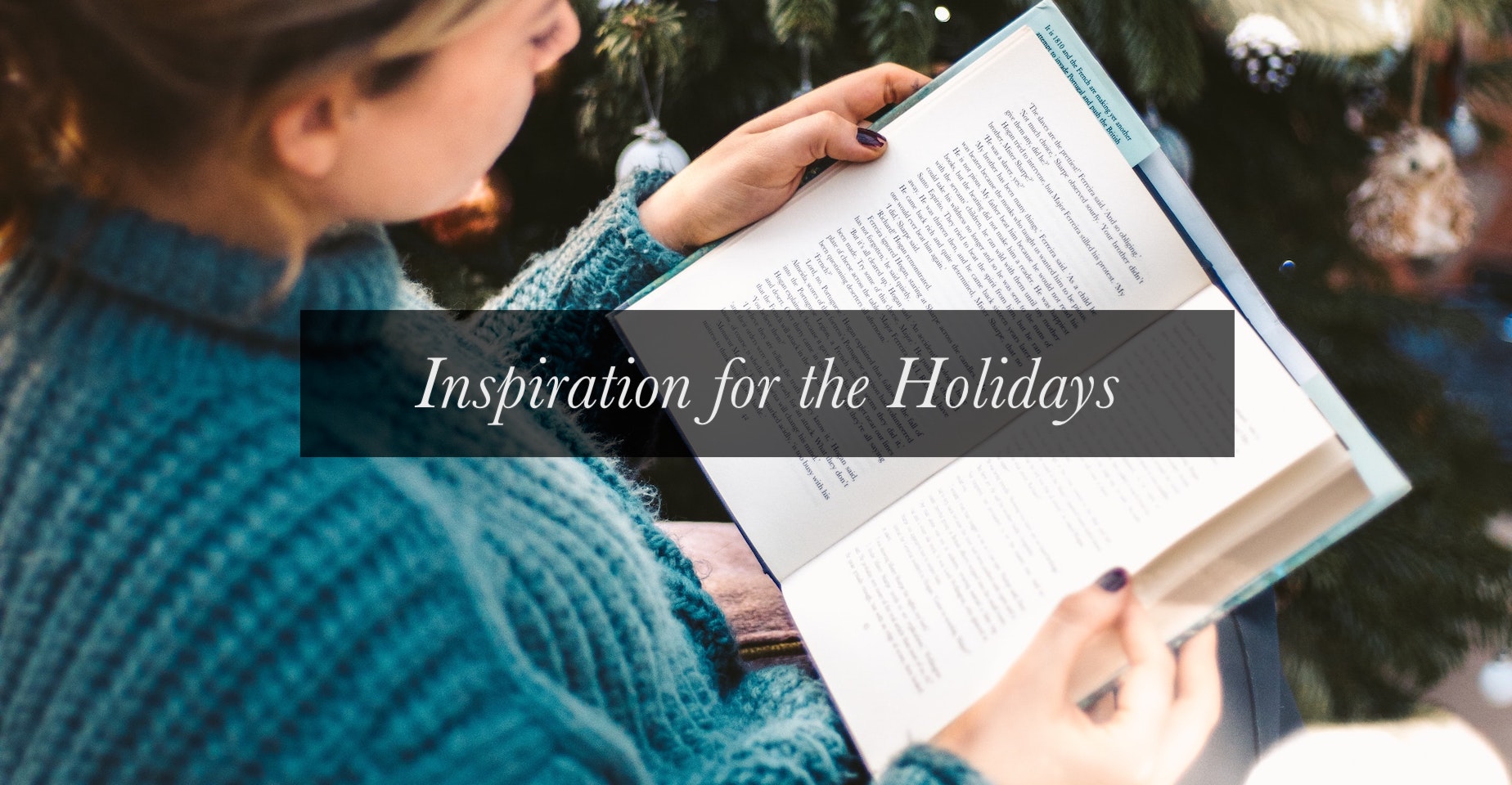 cozy books for the holidays cover